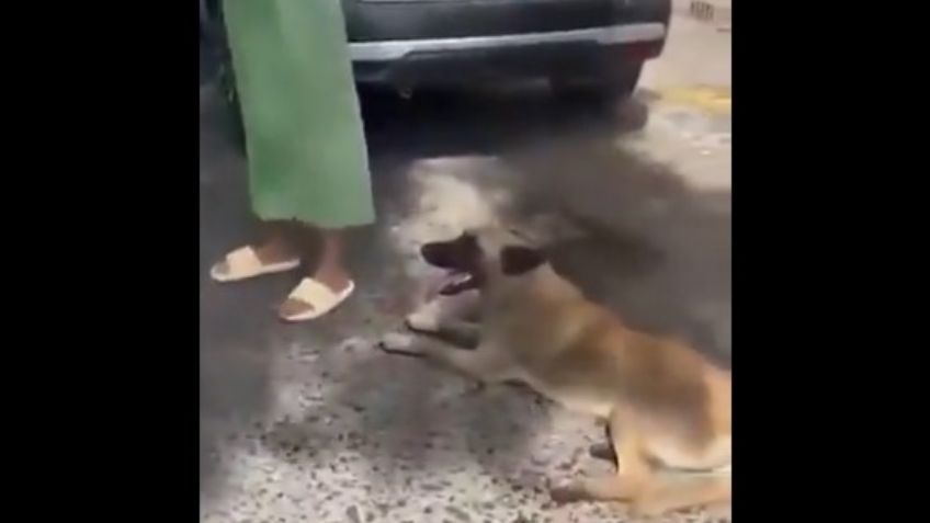 VIDEO: Vecinos en Tlaquepaque agarran a mujer que arrastró a perrito con su camioneta