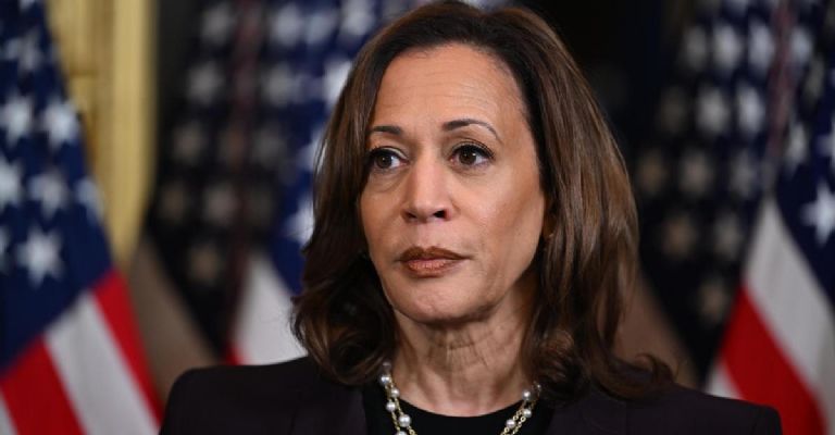 Kamala Harris promete que 'no ha terminado' con la política
