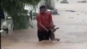 Foto ilustrativa de la nota titulada VIDEO: Héroe anónimo rescata a perrito de inundaciones en Acapulco tras paso de 'John'