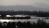 Foto ilustrativa de la nota titulada Localizan cuerpo flotando en la laguna de San Miguel Xico, en Valle de Chalco