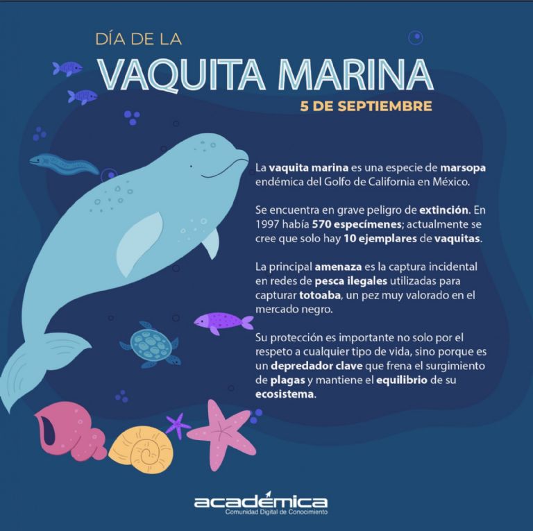 Día de la Vaquita Marina