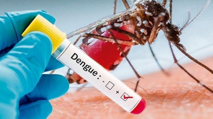 Llega el dengue al municipio de Navojoa, ya van cuatro casos confirmados