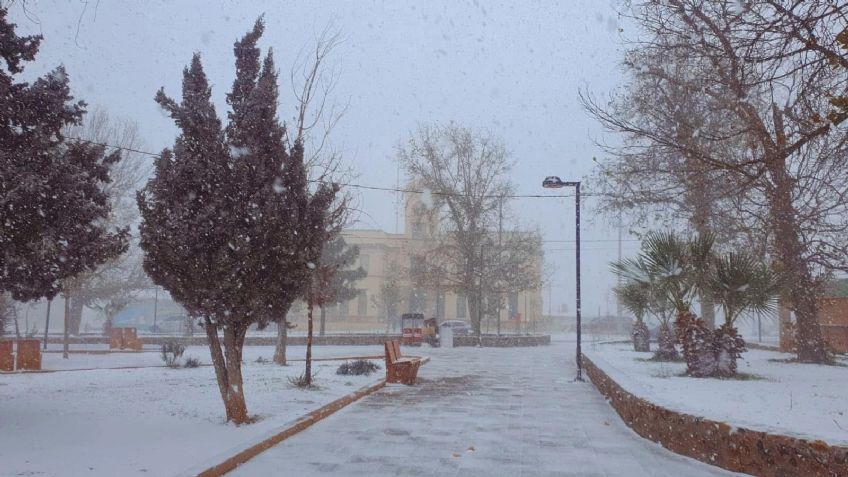 Clima en Sonora HOY 12 de enero: ¡Precaución! Conagua advierte temperaturas de -10 con heladas