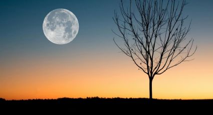 Luna del lobo: ¿A qué hora y cómo ver la luna llena de 2025? Aquí te decimos