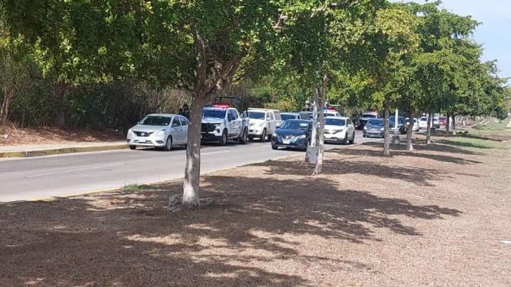 Tenía 20 años y se llamaba José Antonio: Hallan cuerpo putrefacto en baldío de Mazatlán