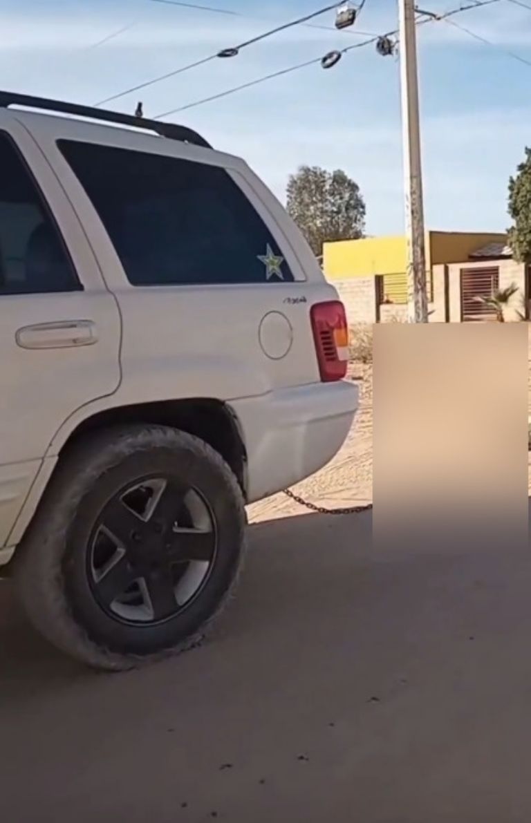 Investigan a sujeto por violencia animal