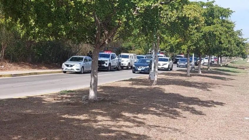 Tenía 20 años y se llamaba José Antonio: Hallan cuerpo putrefacto en baldío de Mazatlán