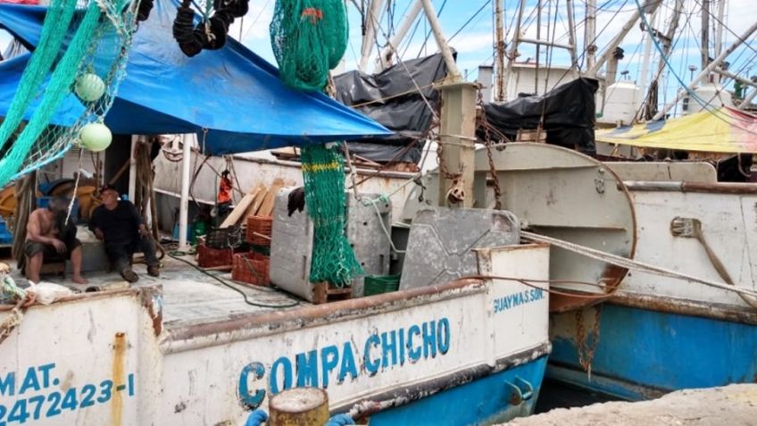 Pescadores de Guaymas dejan el mar por bajos números; sobreviven en otras actividades