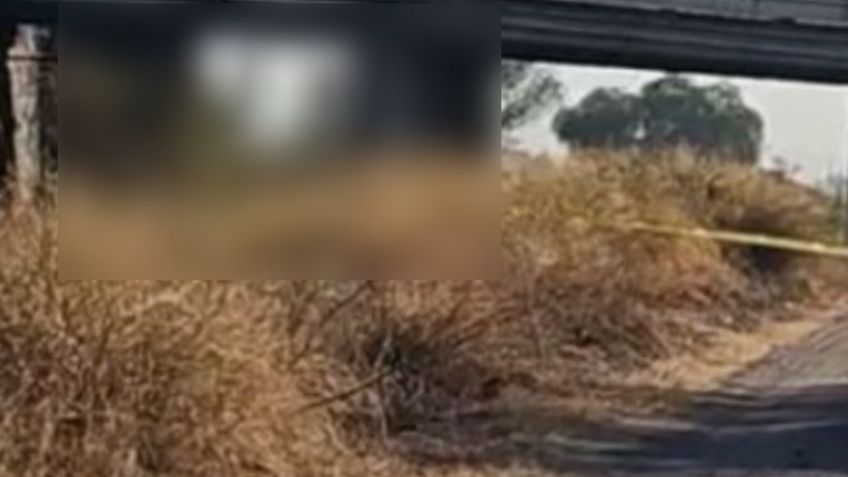 Hallan tres cuerpos colgados en puente de Guanajuato; las víctimas no han sido identificadas