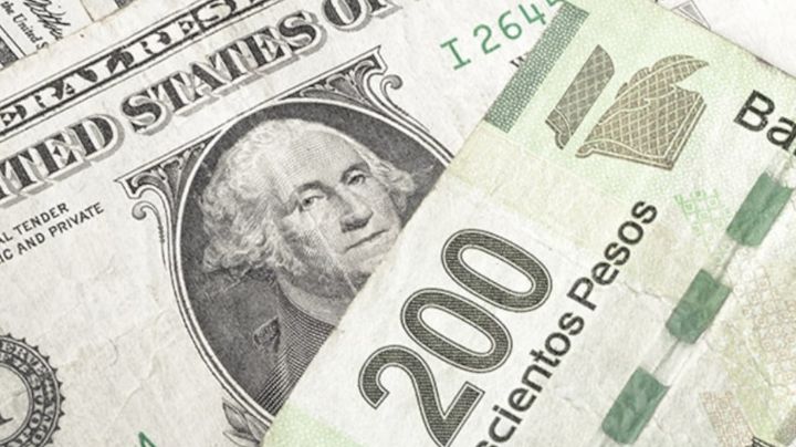 Precio del Dólar en Pesos Mexicanos HOY sábado 25 de enero del 2025: Tipo de cambio