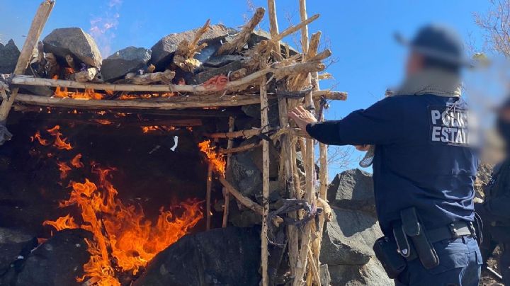 Destruyen campamentos de grupos delictivos en la frontera de Sonora con EU