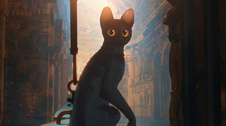 ¿Dónde puedes ver las películas nominadas a los Oscar 2025? Aquí te decimos