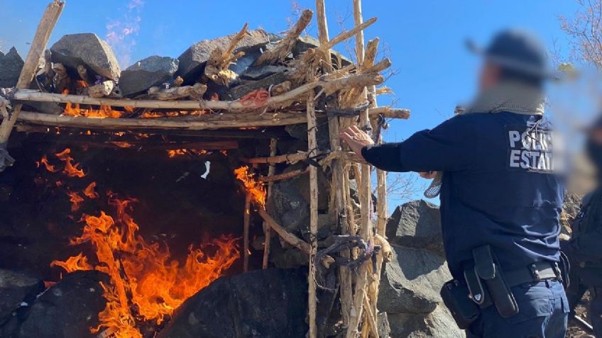 Destruyen campamentos de grupos delictivos en la frontera de Sonora con EU