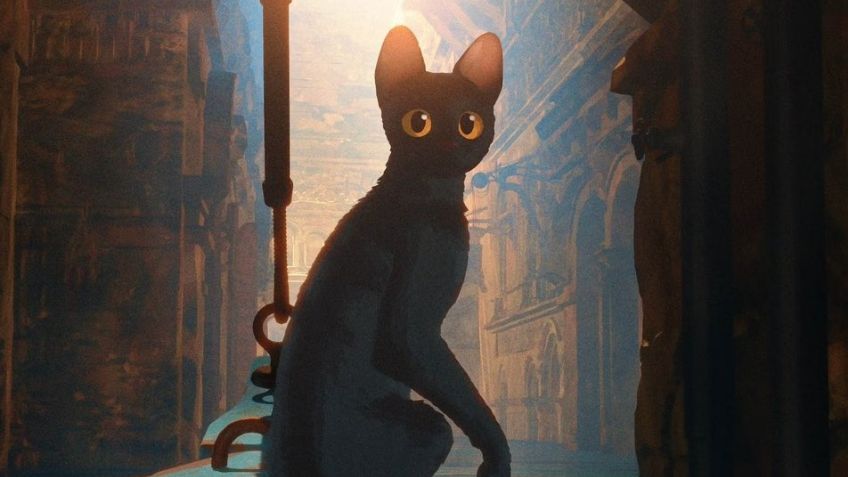 ¿Dónde puedes ver las películas nominadas a los Oscar 2025? Aquí te decimos