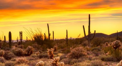 Clima en Sonora para el sábado 4, domingo 5 y lunes 6 de enero 2025: Advierten calor de 35°C