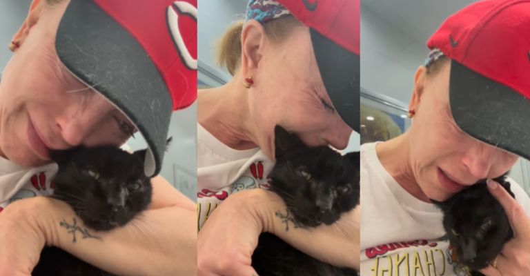 Laura Flores llora por terrible muerte y comparte video de su agonía que estremece a Televisa