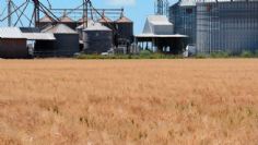 Aranceles impuestos por Donald Trump impactarán en el campo sonorense