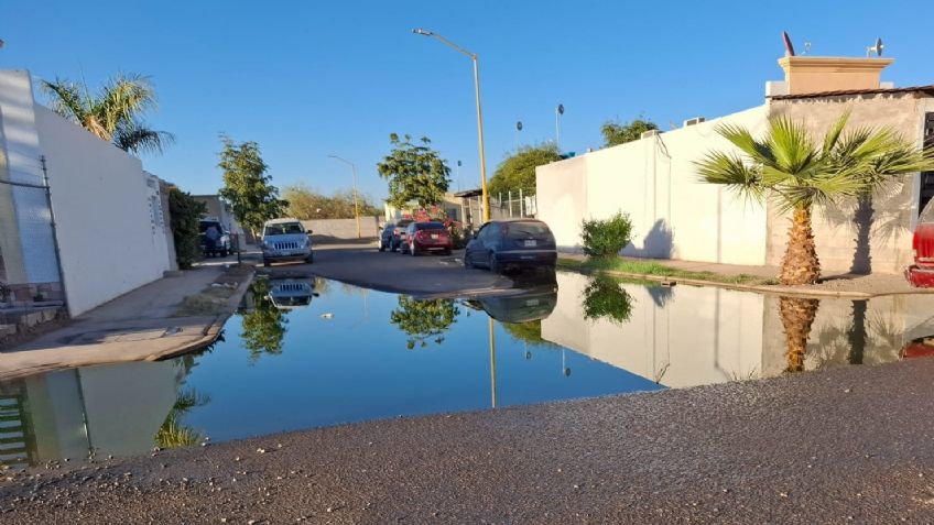 Navojoa: Familias de Finca Real viven entre aguas negras por colapso de drenajes