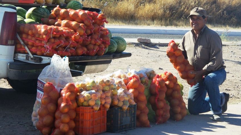Cuesta de enero en Guaymas: Venta de cítricos cosechados en la región baja un 30%