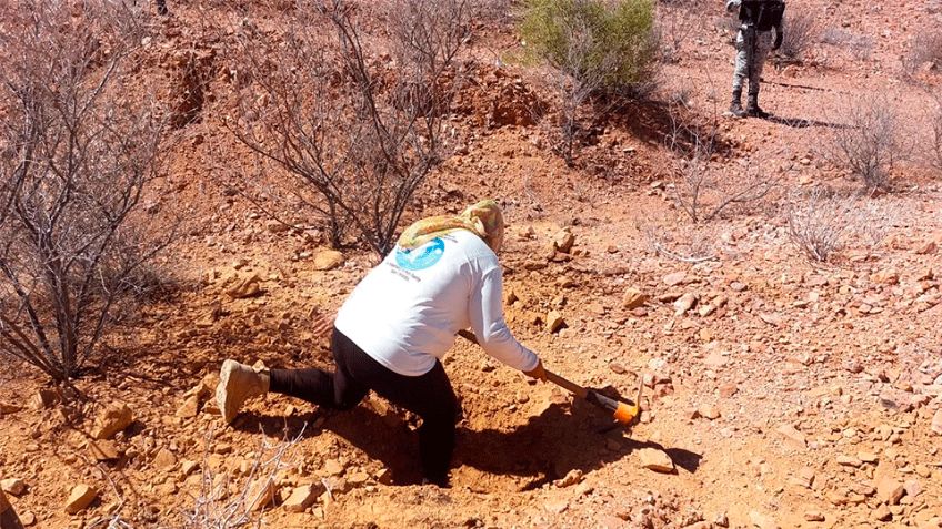 Macabro hallazgo en Sonora: Cuerpo semienterrado con evidentes signos de violencia