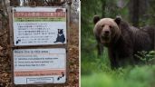Foto ilustrativa de la nota titulada: Anciano muere por ataque de oso cuando recolectaba hongos en un bosque de Japón