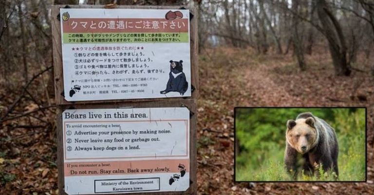 El hombre fue encontrado con la cabeza y el torso separados.