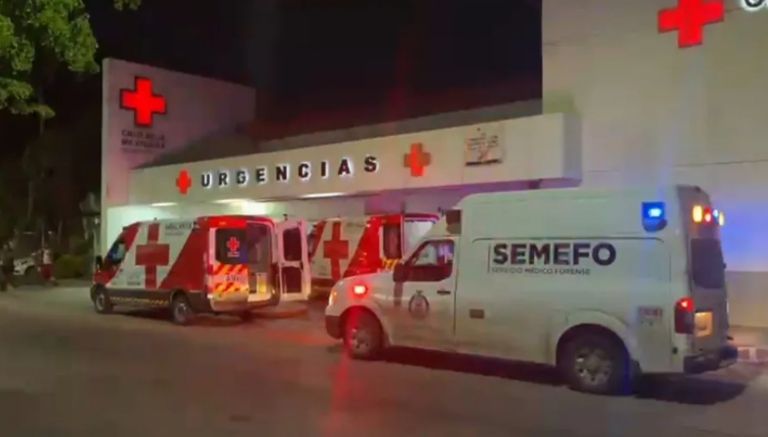 Las pequeñas murieron 