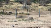 Foto ilustrativa de la nota titulada: Le dispararon en la cabeza: Encuentran a hombre muerto en carretera Hermosillo - Guaymas