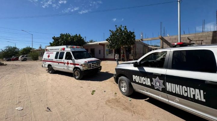 Niño de 7 años termina en el hospital tras el ataque de perro pitbull al norte de Sonora