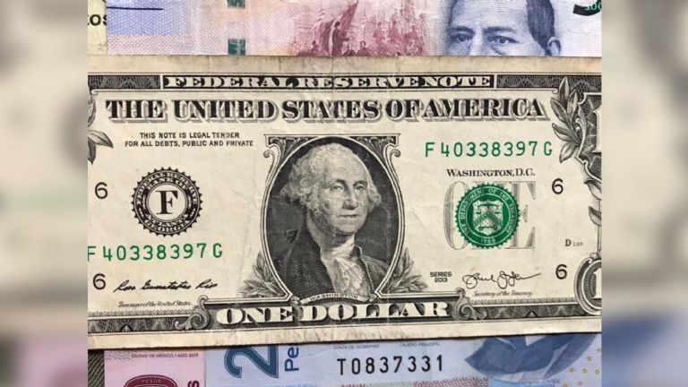 Conoce todos los detalles sobre el precio del dólar. Foto: Internet