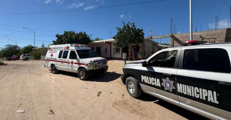 Personal de Control Animal Municipal aseguró al perro.