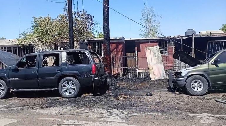 Una vivienda y un palmera también se vieron afectadas
