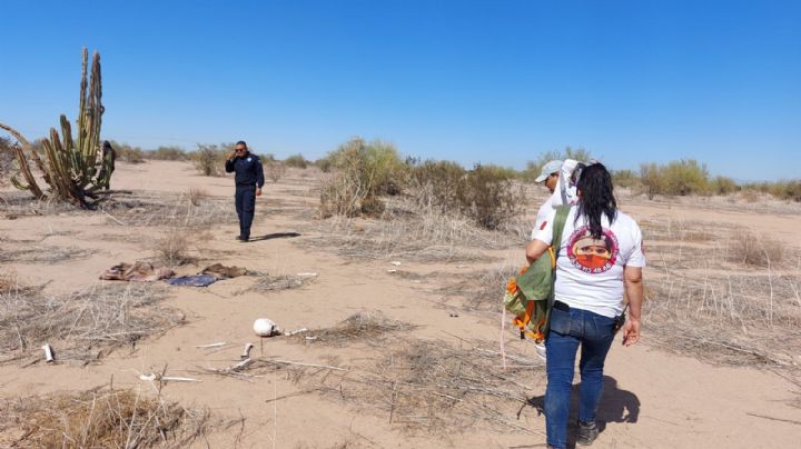 Colectivo de buscadoras localiza restos humanos en el norte de Sonora; autoridades los analizan