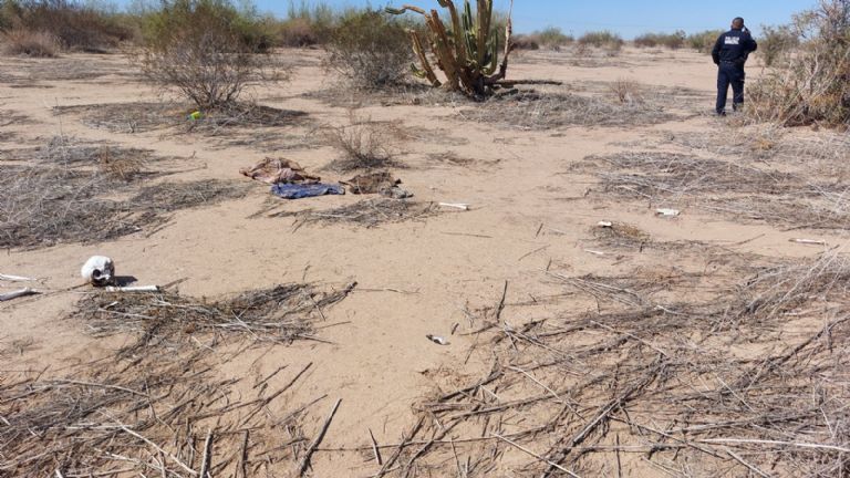 Autoridades confirmaron hallazgo de restos humanos en Caborca. Foto: Facebook
