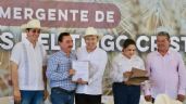 Foto ilustrativa de la nota titulada: Productores recibirán 10 dólares complementarios por tonelada de trigo en Sonora