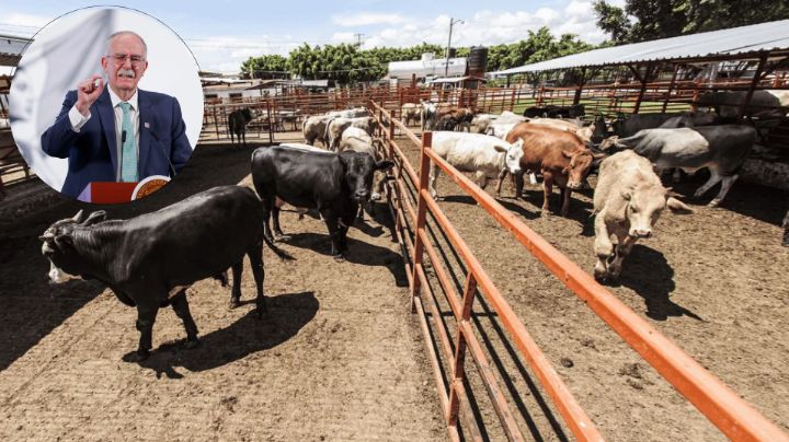 No hay fecha de apertura para exportación de ganado a EU, informa el secretario de Agricultura