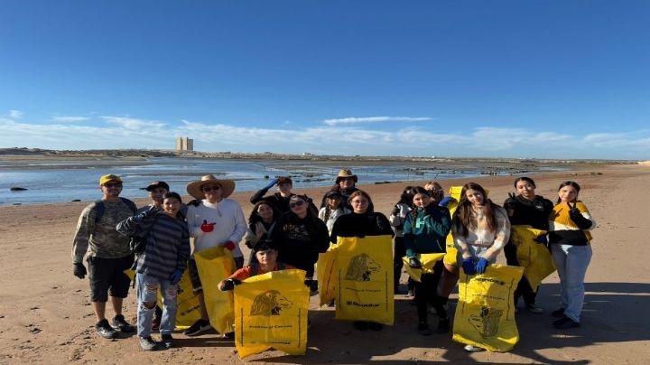 Sonora: Participan alumnos del Cobach Puerto Peñasco en jornada mundial de limpieza de costas