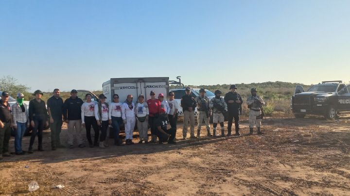 Activistas localizan restos calcinados durante búsqueda en el sur de Sonora; FGJES investiga