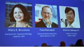 Foto ilustrativa de la nota titulada: El Premio Nobel de Medicina 2025 se otorga a Mary E. Brunkow, Fred Ramsdell y Shimon Sakaguchi