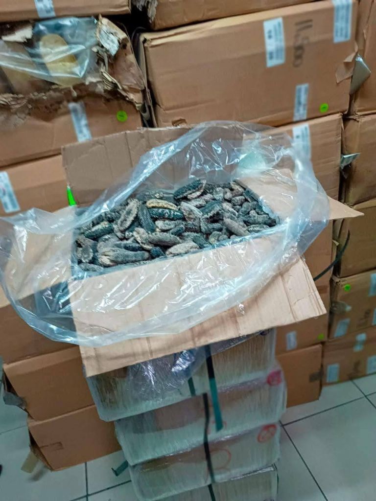 Se encontraron diversas especies 