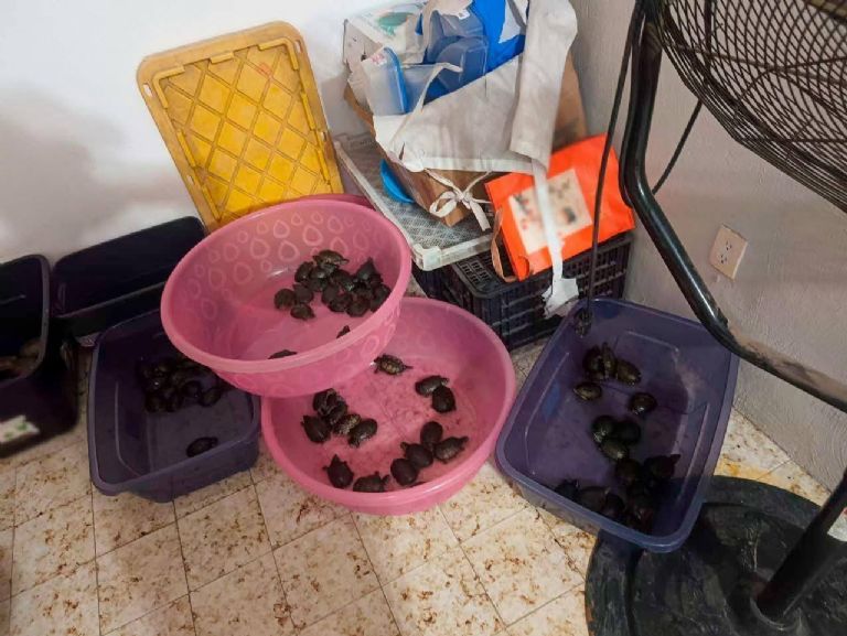 Los responsables están detenidos 