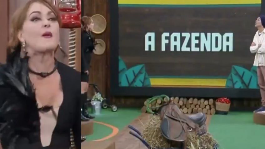 "Poco hombre": Gaby Spanic tiene feroz pelea en reality tras recibir ataque xenofóbico