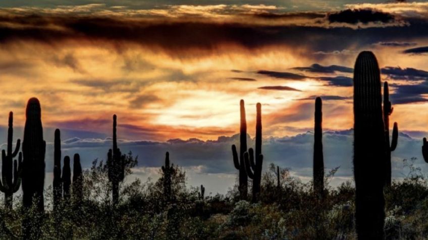 Así estará el clima en Hermosillo HOY 7 de octubre: CALOR durante el día y noche fresca