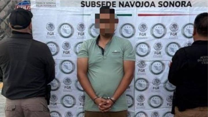 Detienen en el sur de Sonora a chofer de tráiler que transportaba cargamento de fentanilo