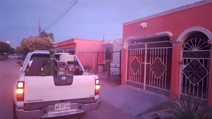Alerta en Guaymas: Dengue supera los mil casos, con fumigaciones y cercos epidemiológicos