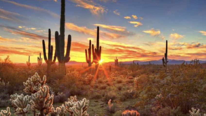 Clima en Sonora HOY: Mañana fresca, tarde calurosa y noche fría este 10 de noviembre