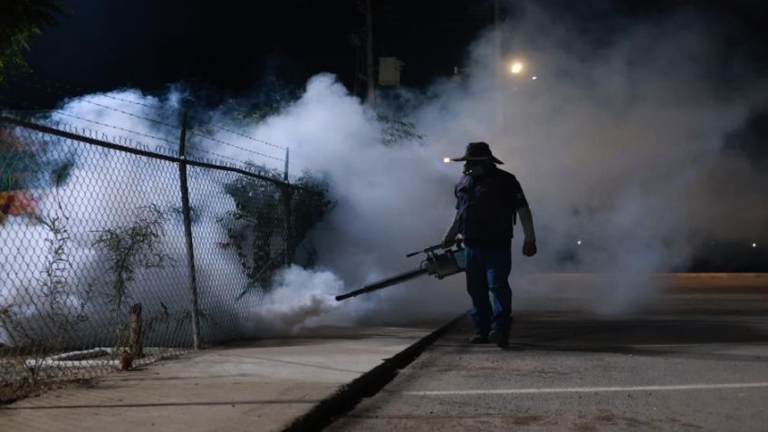 Sin defunciones por dengue en Sonora; Secretaría de Salud fumiga 154 mil hectáreas para prevenir y controlar el mosquito