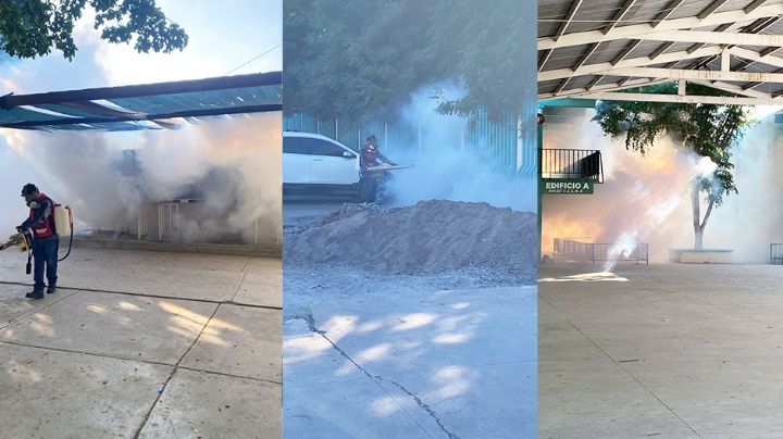 Ciudad Obregón: Padres y escuela financian fumigación tras casos de dengue por falta de respuesta oficial