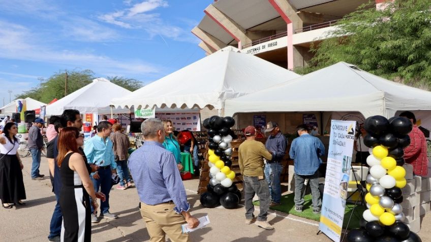 Realizan en Caborca el Primer Clúster de Construcción y Vivienda con más de 30 stands