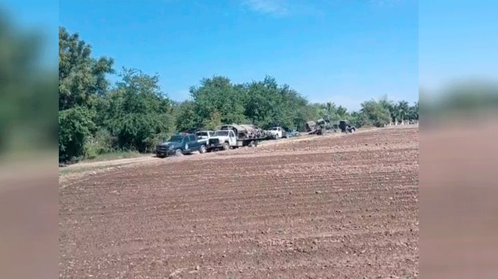 Hallan en Culiacán 'deshuesadero' de autos robados; autoridades aseguran alrededor de 50 vehículos